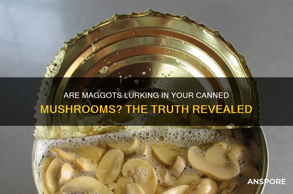 is there maggots in canned mushrooms