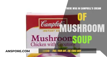 Does Campbell's Cream of Mushroom Soup Contain MSG?