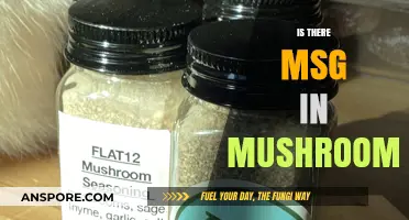 The Truth About MSG in Mushrooms