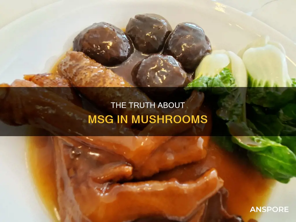 is there msg in mushrooms