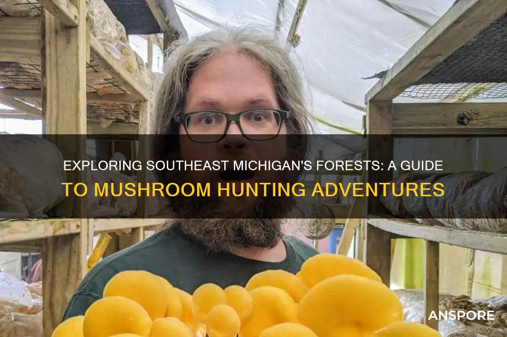 is there mushroom hunting in southeast mi