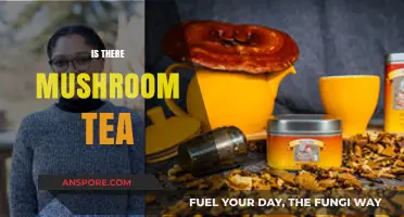 Mushroom Tea: Brew Your Health