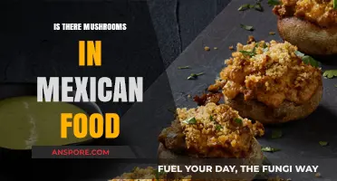 Exploring Mexican Cuisine: Do Mushrooms Have a Place in Traditional Dishes?