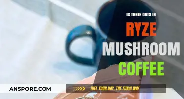 Ryze Mushroom Coffee Ingredients: Does It Contain Oats?