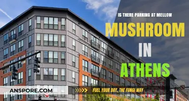 Parking at Mellow Mushroom Athens: What You Need to Know