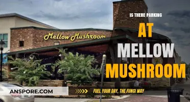 Mellow Mushroom Parking: What You Need to Know Before You Go