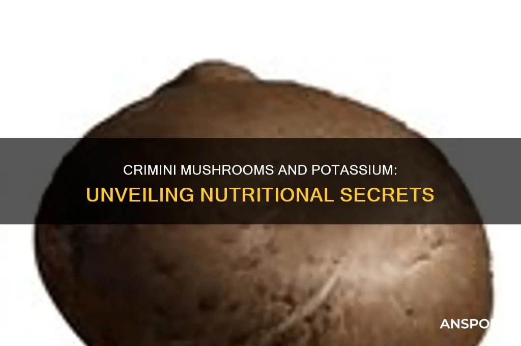 is there potassium in crimini mushrooms