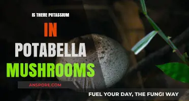 Potassium in Portabella Mushrooms: Nutritional Facts and Health Benefits