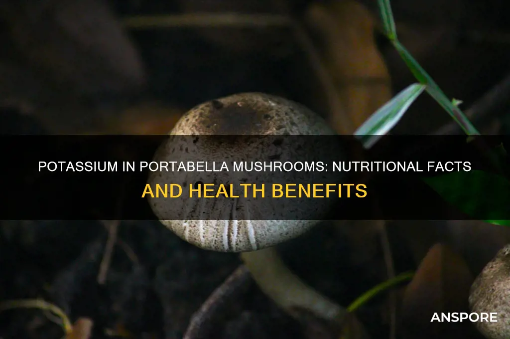 is there potassium in potabella mushrooms
