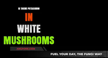 White Mushrooms and Potassium: Unveiling Nutritional Secrets