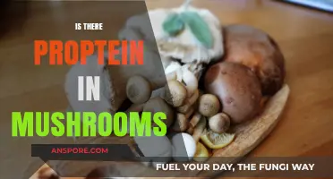 Mushrooms: A Surprising Protein Source?