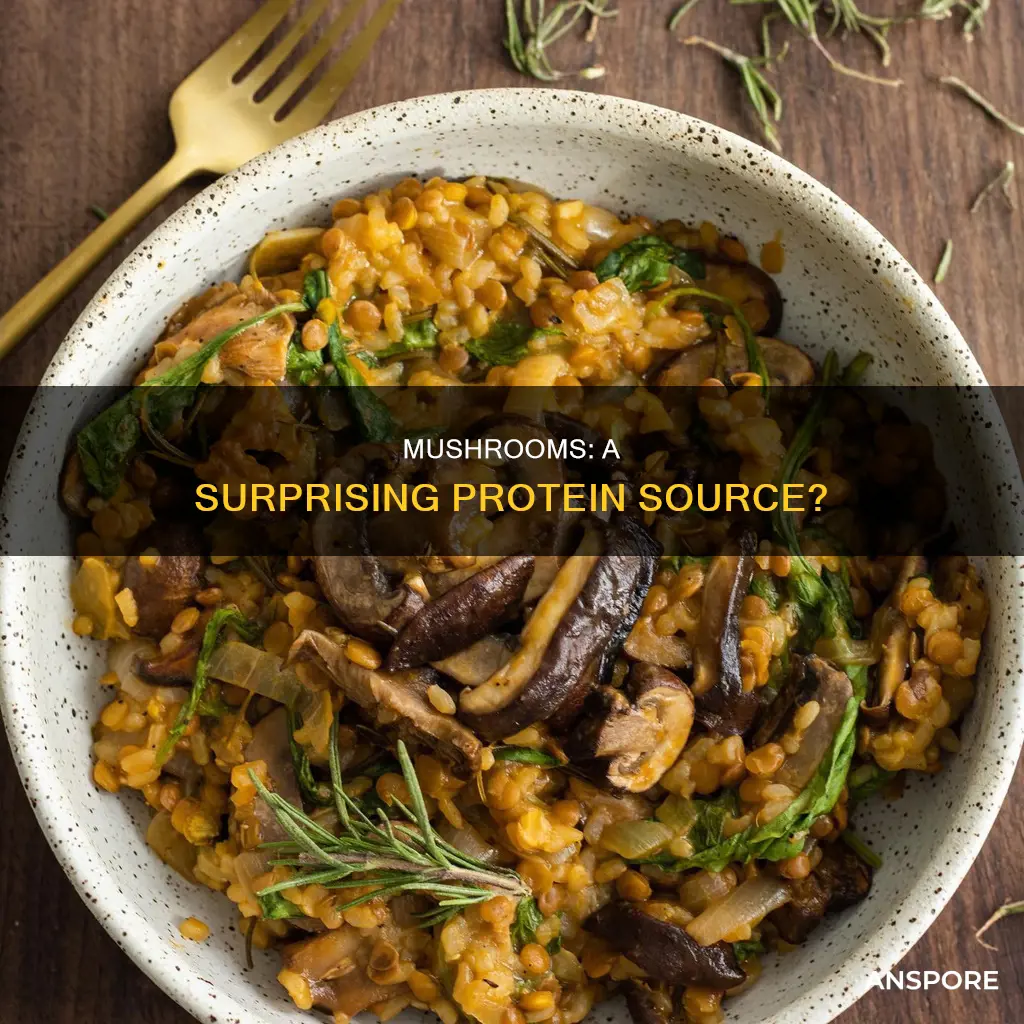is there proptein in mushrooms