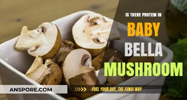 Protein in Baby Bella Mushrooms: Nutritional Facts and Benefits
