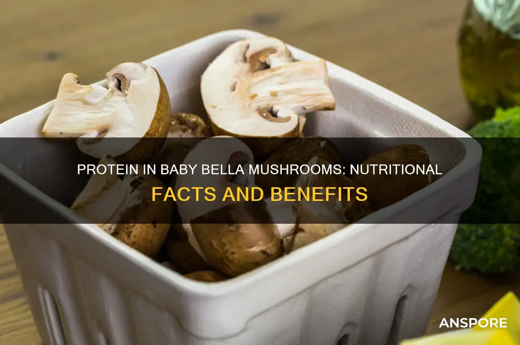 is there protein in baby bella mushrooms