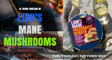 Lion's Mane Mushrooms: Unveiling Their Surprising Protein Content