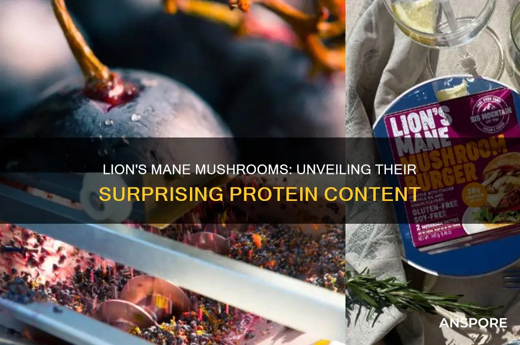 is there protein in lion