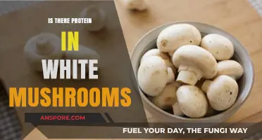 White Mushrooms and Protein: Unveiling Nutritional Secrets of a Kitchen Staple
