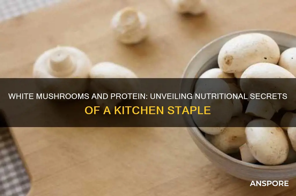 is there protein in white mushrooms