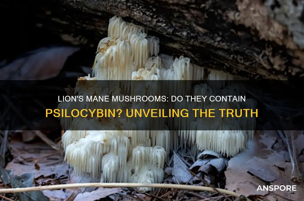 is there psilocybin in lion