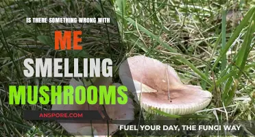 Why Do I Smell Mushrooms? Exploring Unusual Olfactory Experiences
