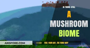 Exploring Minecraft: Does the Mushroom Biome Still Exist in Updates?