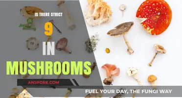 Exploring the Myth: Are There Exactly Nine Types of Mushrooms?