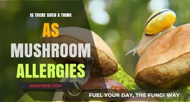 Mushroom Allergies: Fact or Fiction? Uncovering the Truth