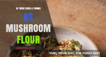 Mushroom Flour: Myth or Reality? Exploring Alternative Baking Options