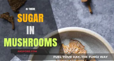 Mushrooms: Sugar-Free Superfood?