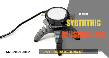 Synthetic Mushrooms: Are They Real?