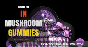 Do Mushroom Gummies Contain THC? Unraveling the Psychedelic Myth