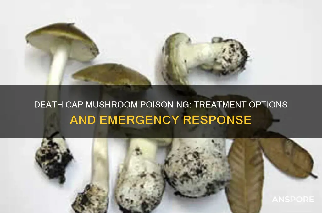 is there treatment if you eat a death cap mushroom