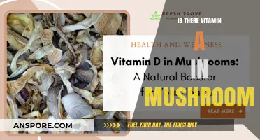 Mushrooms and Vitamin A: Unveiling Nutritional Benefits and Facts