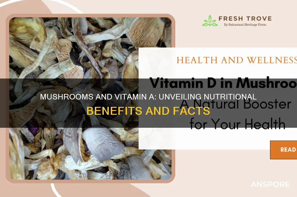 is there vitamin a in mushrooms