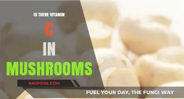 Mushrooms and Vitamin C: Unveiling the Nutritional Secrets of Fungi