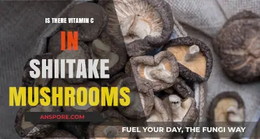 Shiitake Mushrooms and Vitamin C: Uncovering Nutritional Facts and Benefits
