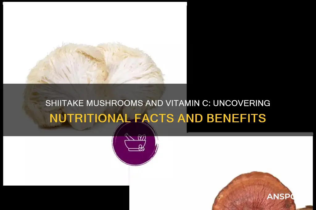 is there vitamin c in shiitake mushrooms