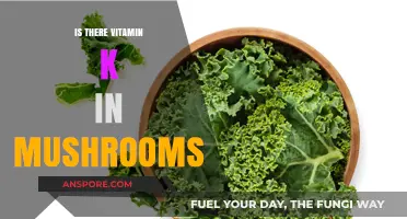 Do Mushrooms Contain Vitamin K? Unveiling Their Nutritional Secrets