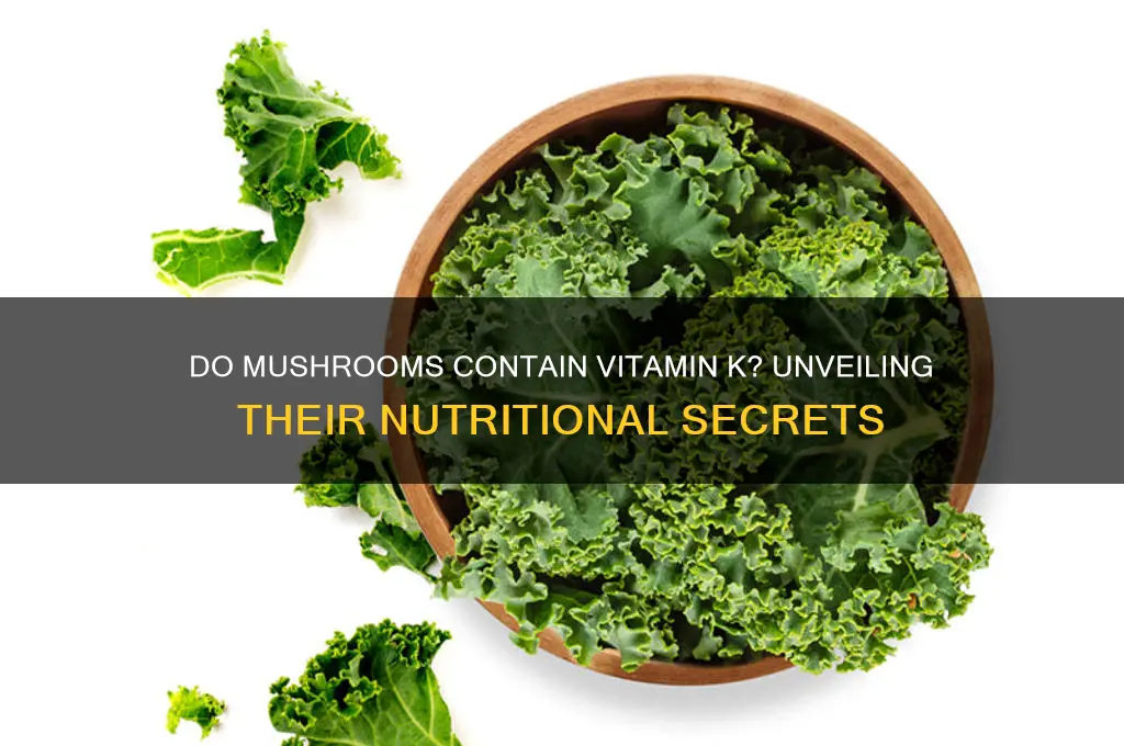 is there vitamin k in mushrooms