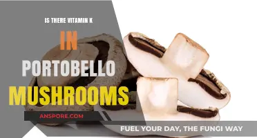 Portobello Mushrooms and Vitamin K: Uncovering Nutritional Benefits