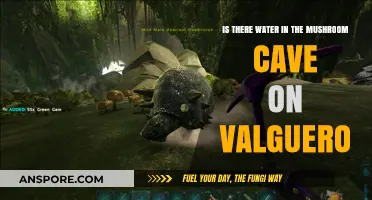 Exploring Valguero's Mushroom Cave: Does It Hold Hidden Water Sources?