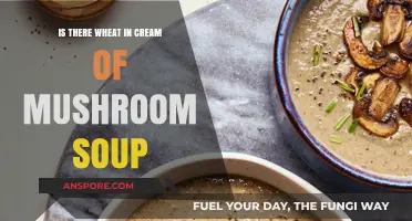 Does Cream of Mushroom Soup Contain Wheat? Ingredients Explained