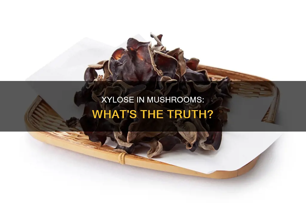 is there xylose in mushrooms