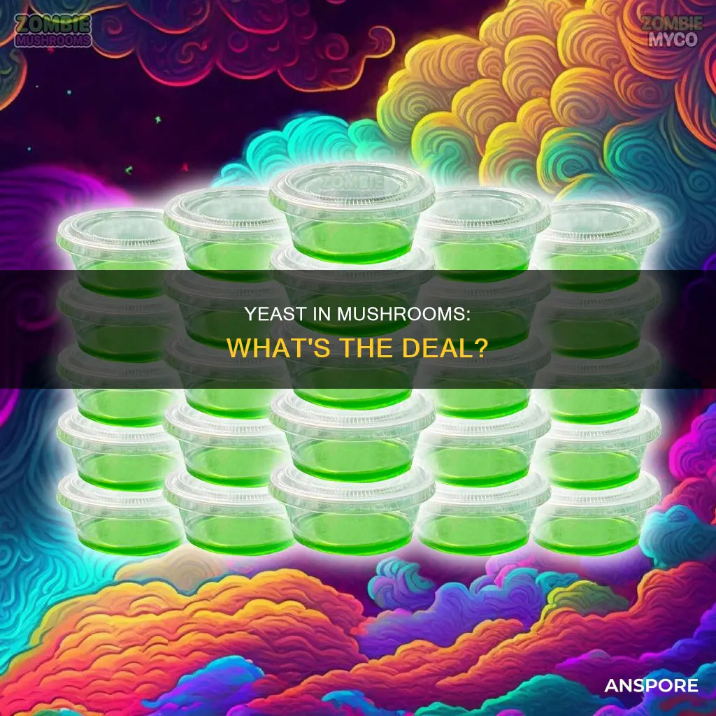 is there yeast in mushrooms