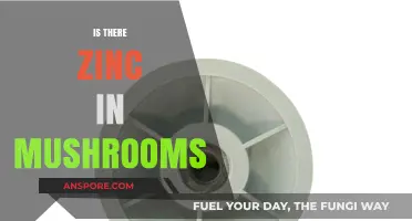Mushrooms: A Zinc-Rich Superfood?