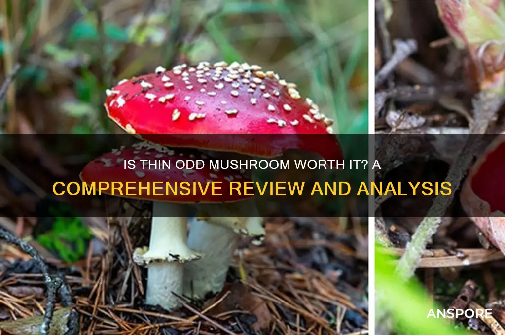 is thin odd mushroom worth it