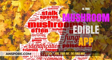 Can You Eat That? Discover Edible Mushrooms with This App