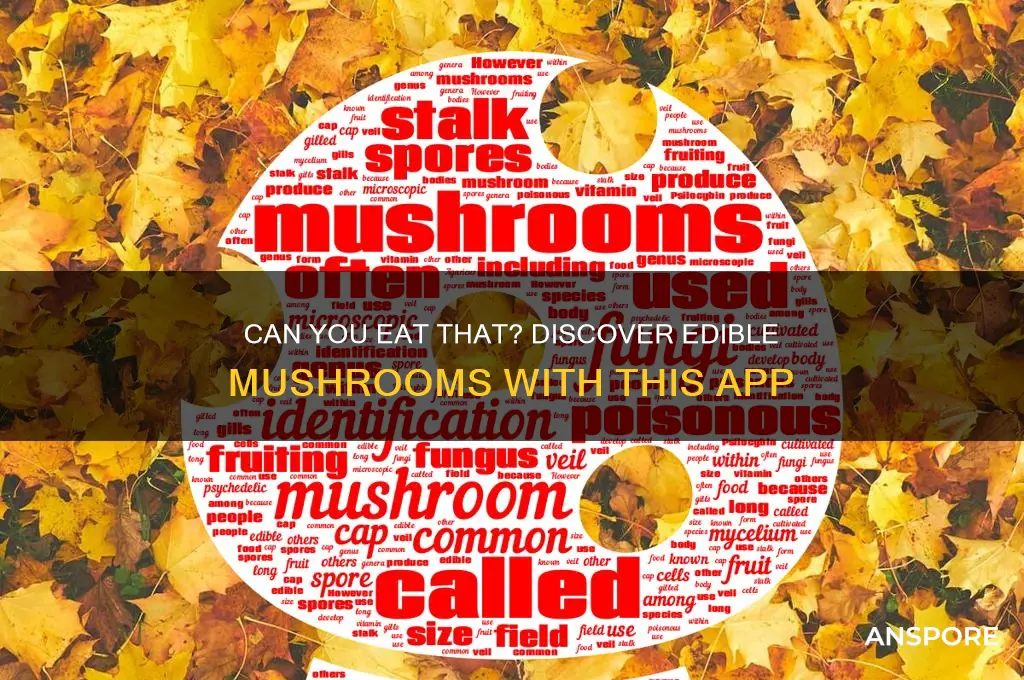 is this mushroom edible app