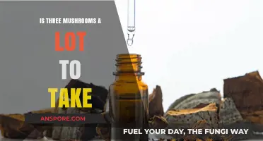 How Many Mushrooms is Too Many? Exploring Safe Dosage Limits