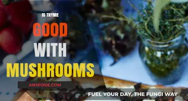 Thyme and Mushrooms: A Flavorful Match Made in Culinary Heaven